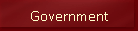 Government