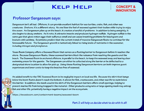 Kelp-Help-24-9-1