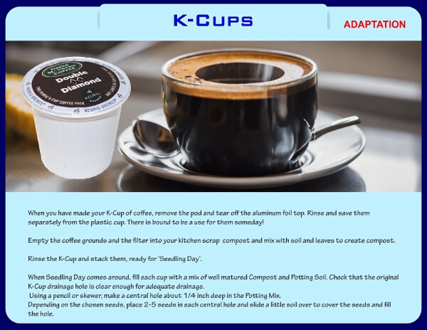 K-Cups-24-1-1